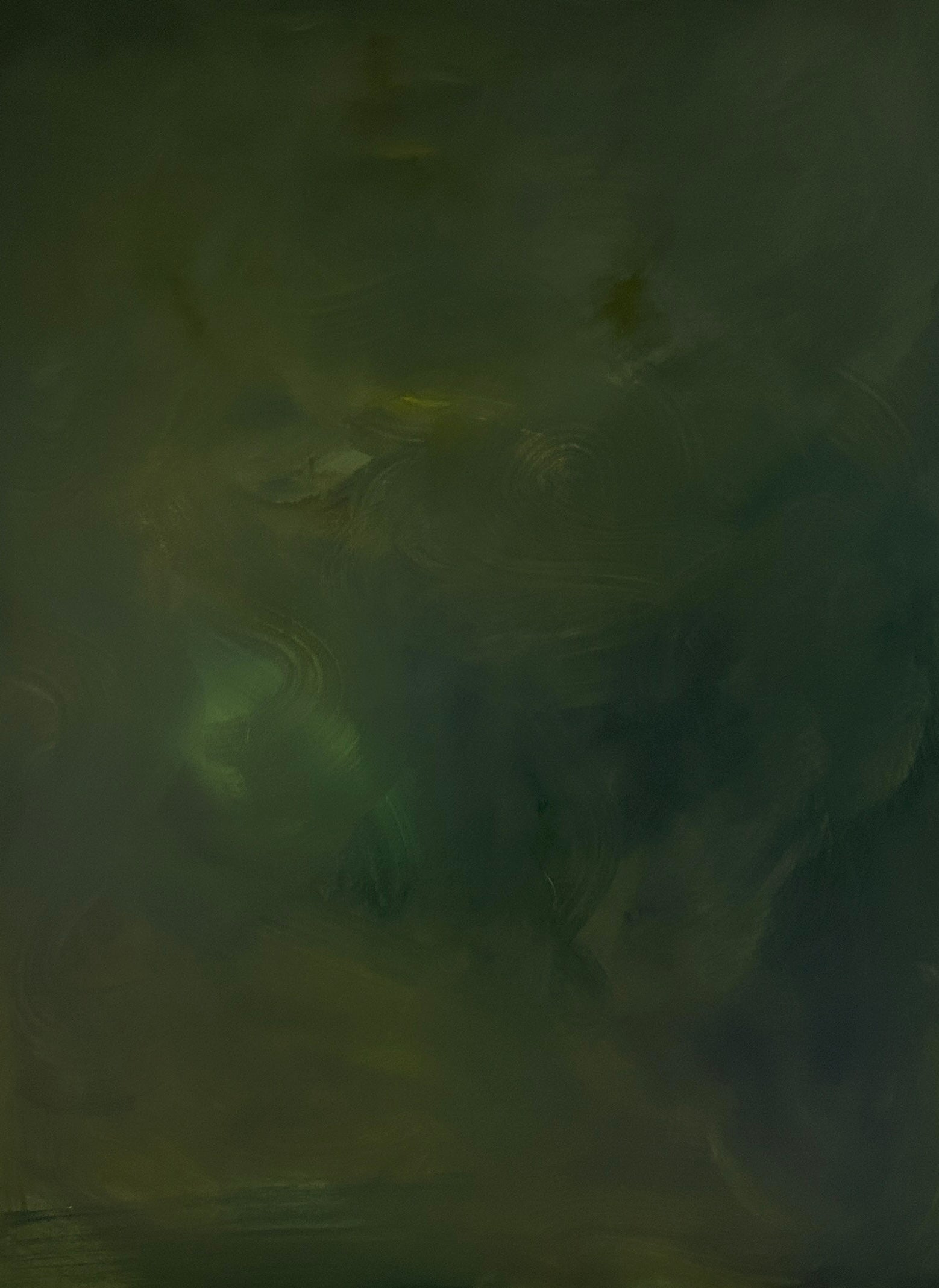 NORTHERN LIGHTS